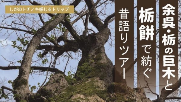 栃の巨木と栃餅で紡ぐ昔語りツアー